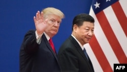 2017年11月9日，特朗普和習近平在北京人民大會堂。