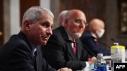 資料照片：美國國立過敏及傳染病研究所主任弗契醫生(左)和時任美國疾控中心主任的雷德菲爾德醫生等衛生官員就新冠疫情問題在參議院作證。 (2020年6月30日)