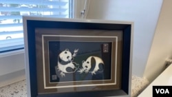 2025年3月3日，阿赫泰里市長辦公室窗台上的大貓熊畫像。 (美國之音/李北平攝)