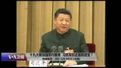 时事大家谈：十九大前加强军内整肃，习近平抓军权还是防政变？