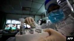 中國一名醫護人員拿著新冠病毒感染者的樣本準備進行核酸檢測。(2020年3月10日)