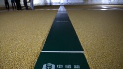 习近平抓“舌尖浪费” 居安思危还是粮食危机迫在眉睫？