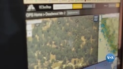 ແອັປໃຫ້ຂໍ້ມູນໄຟໄໝ້ທັນທີທັນໃດ ຕໍ່ຊາວລອສແອນເຈິີເລສ 