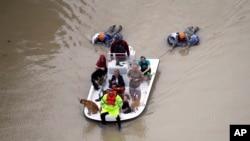 休斯顿撤离的人