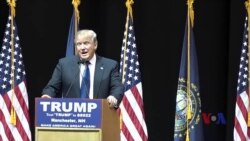 许多越南裔共和党支持者拒投川普