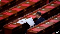 2025年3月11日一代表在中国北京人民大会堂全国人民代表大会闭幕会议前阅读文件。