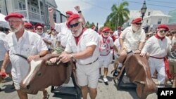 «Пробег быков» с участием двойников писателя