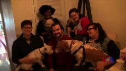 让狗吃好：走进爱犬咖啡店