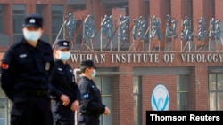 中國武漢病毒研究所