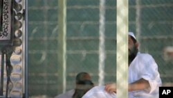 An American beech tree lies on Capitol Hill grounds in Washington, June 30, 2012, in front of the U.S. Supreme Court.