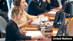 聯合國安理會12月20日就敘利亞人道救援決議案進行表決。