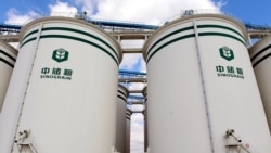 習近平強調糧食安全不能依靠國際市場 中國今年冬小麥苗情或是史上最糟