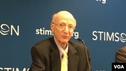 史汀生中心東亞項目主任容安瀾(美國之音鍾辰芳拍攝)