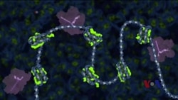 战胜肿瘤的个性化方式