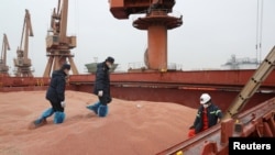 中国江苏南通港的海关官员在检查美国运来的高粱。（2020年2月11日, 路透社提供）