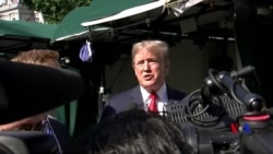 川普前競選主管馬納福特保釋吊銷關入監獄 (粵語)