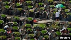 新加坡华人在清明节为亲人扫墓（资料照：2013年4月4日）