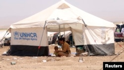 逃出圍困的伊拉克難民