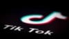 Tiktok 标志