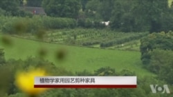 植物学家用园艺剪种家具