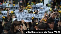 參與集會的人士手持象徵台灣反服貿的太陽花及反暴力執法標語 (美國之音湯惠芸拍攝)