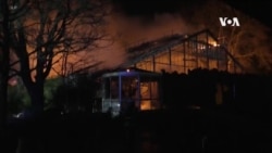 三名婦女放天燈導致德國動物園大火導致30多隻動物死亡