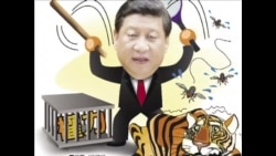 火墙内外：打苍蝇还是打老虎？ 赵红霞奇案引关注