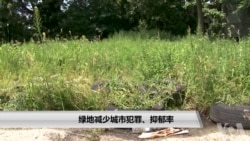 绿地减少城市犯罪、抑郁率