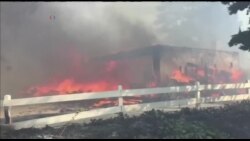 加州当局敦促数万居民躲避野火弃家逃生