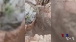 美国亚利桑那州暴洪淹死9人