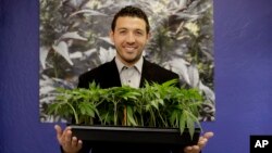 加利福尼亞州成為美國50個州中第六個允許吸食大麻的州。