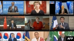 第73屆世界衛生大會2020年5月18日以視訊方式舉行。