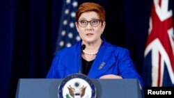 澳大利亞外長佩恩。 