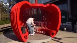 «Нью-Йорк New York». Почему Нью-Йорк называют Большим яблоком? Мандарины из Чайна-тауна и собаки-недотроги. 2 февраля 2025