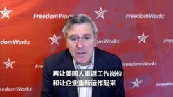 专访: 特朗普总统经济顾问谈美国为何应尽快重启经济