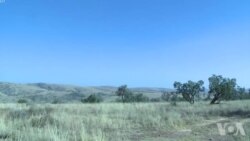 美国：无偿征地或使南非误入歧途