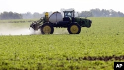 艾奥瓦州农民在大豆地里喷洒除草剂。(资料照片)