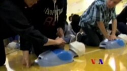 美國專訊 609 (2016年1月3日)