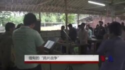 缅甸的鸦片战争