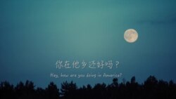 道听途说：你在他乡还好吗？