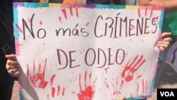 Organizaciones venezolanas que trabajan por los derechos de la comunidad LGBTI protestan en Caracas. Junio, 2021. Foto: Álvaro Algarra - VOA.