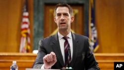 资料照：共和党联邦参议员科顿