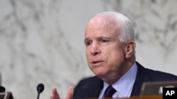 共和黨參議員麥凱恩