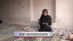 从苦到更苦:阿富汗难民回国后的困境