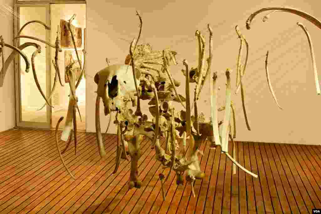 Bronwyn Lace’s suspended horse skeleton in a gallery in Johannesburg (Photo: B. Lace)