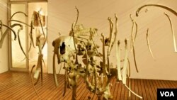 Life and Death Drive ‘Magic’ of South African artist Bronwyn Lace