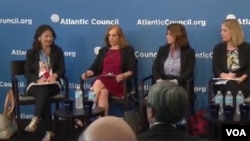 프랑스 동부 암네빌 동물원의 새끼 맨드릴이 어미 곁에서 놀고 있다.