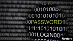 襲擊美國政府數據庫是犯罪分子所為