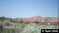 内华达州莫阿帕谷这样白人占人口92％的农村地区的居民认为，随着整体州选民变得更加多元化，移民政策将间接影响他们。