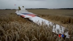 2014-07-29 美國之音視頻新聞: 歐盟準備向俄羅斯實行新制裁